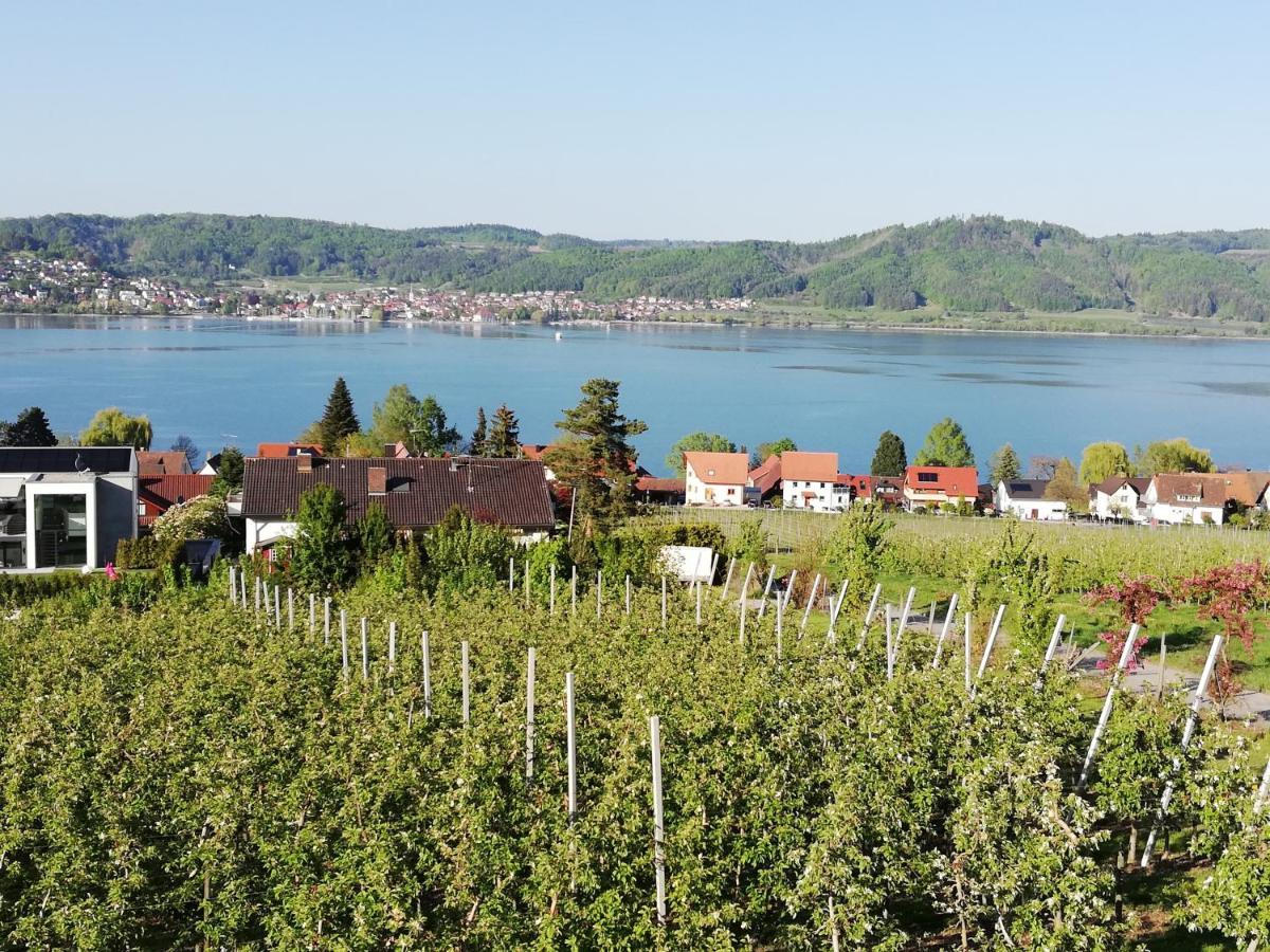 Fewo Segelwind Bodman-Ludwigshafen Bagian luar foto
