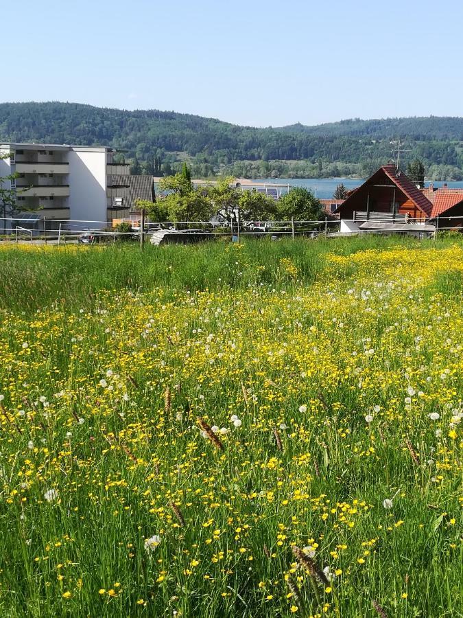 Fewo Segelwind Bodman-Ludwigshafen Bagian luar foto